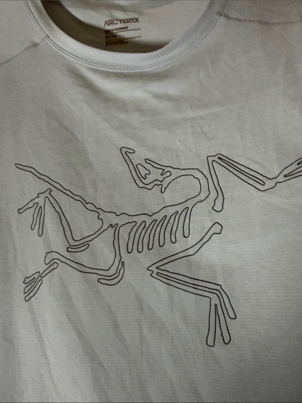 Arc'teryx Light Blue Short Sleeve Tee with Outline Skeleton Graphic - Picture 7 of 9